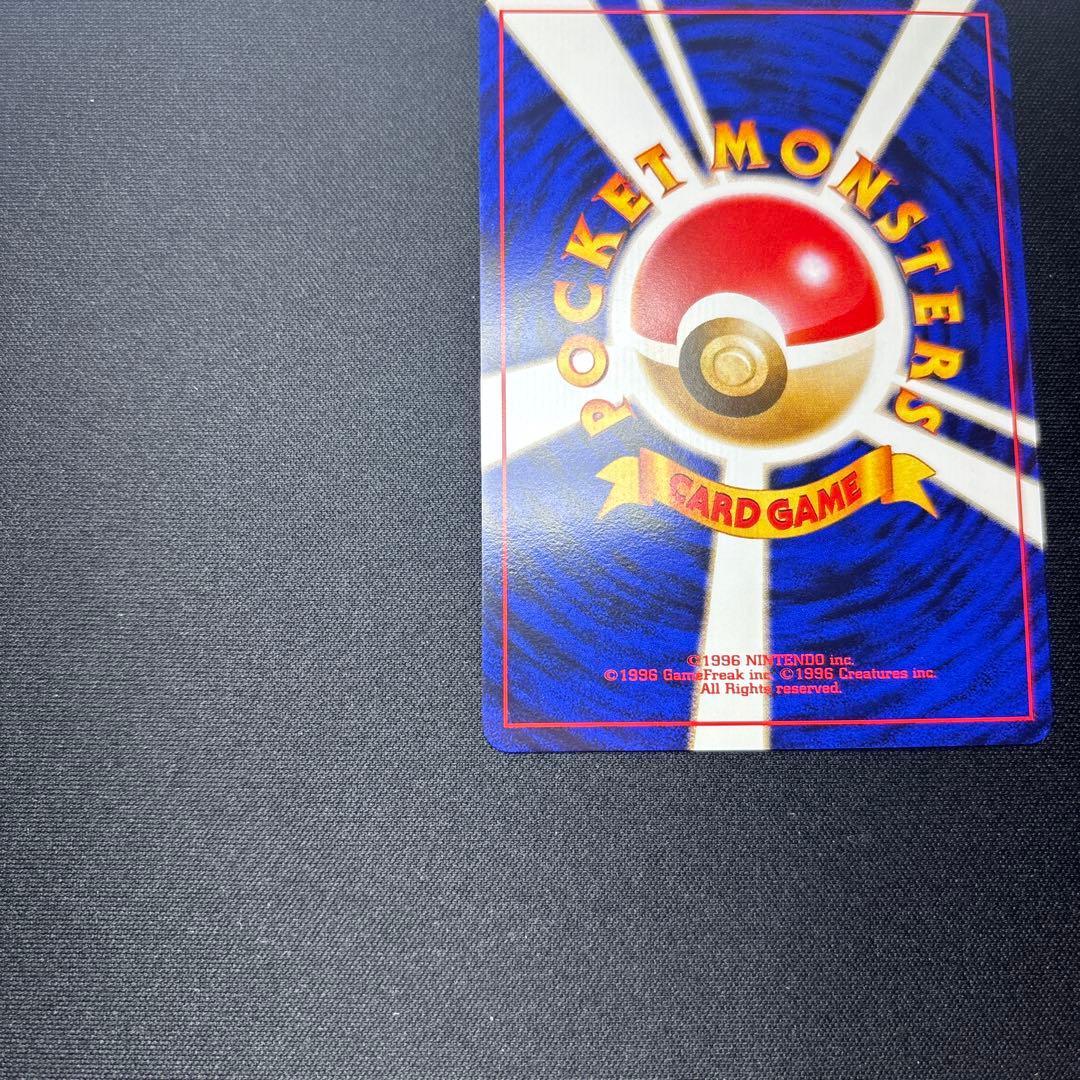 ライチュウ イントロパック