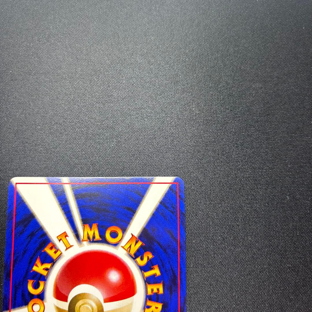 ライチュウ イントロパック