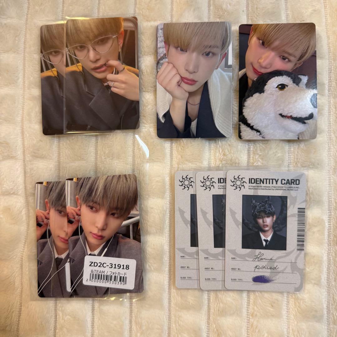 &TEAM HARUA ハルア トレカ まとめ売り - メルカリ