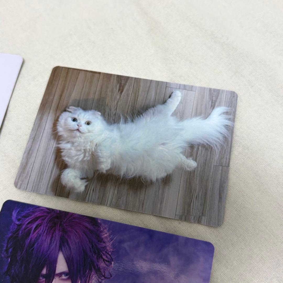 Royz 杙凪 トレーディングカードセット - メルカリ