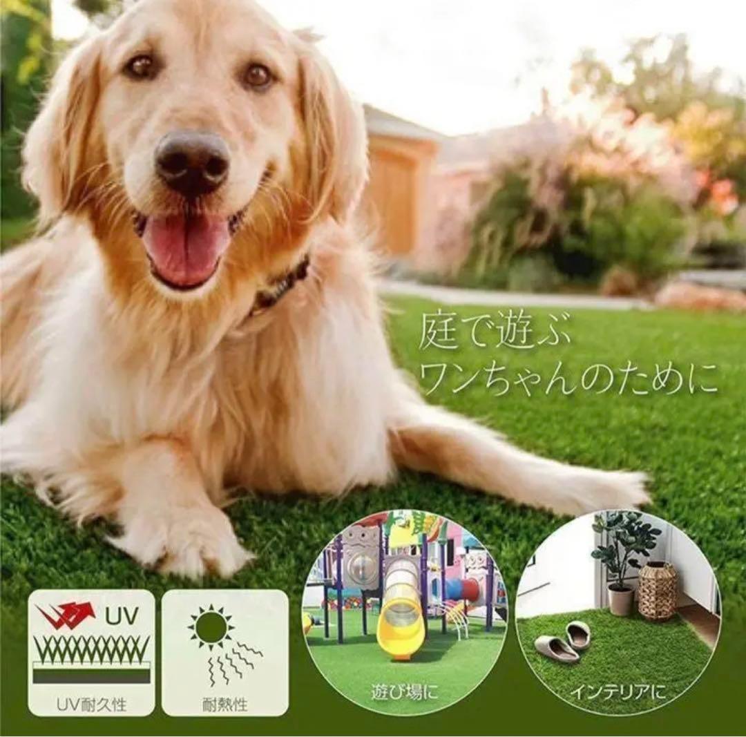 人工芝 2m×10m ロール 庭 芝丈35mm芝生密度2倍 固定ピン付3個セット