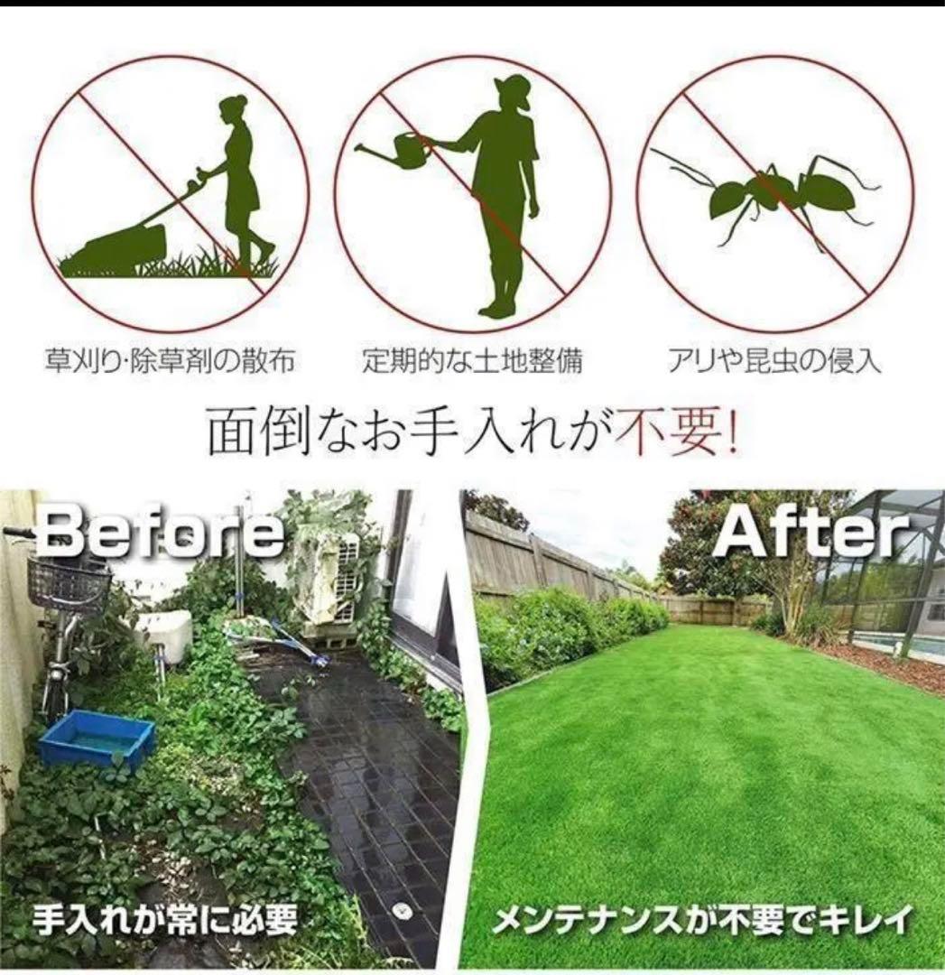 人工芝 2m×10m ロール 庭 芝丈35mm芝生密度2倍 固定ピン付3個セット