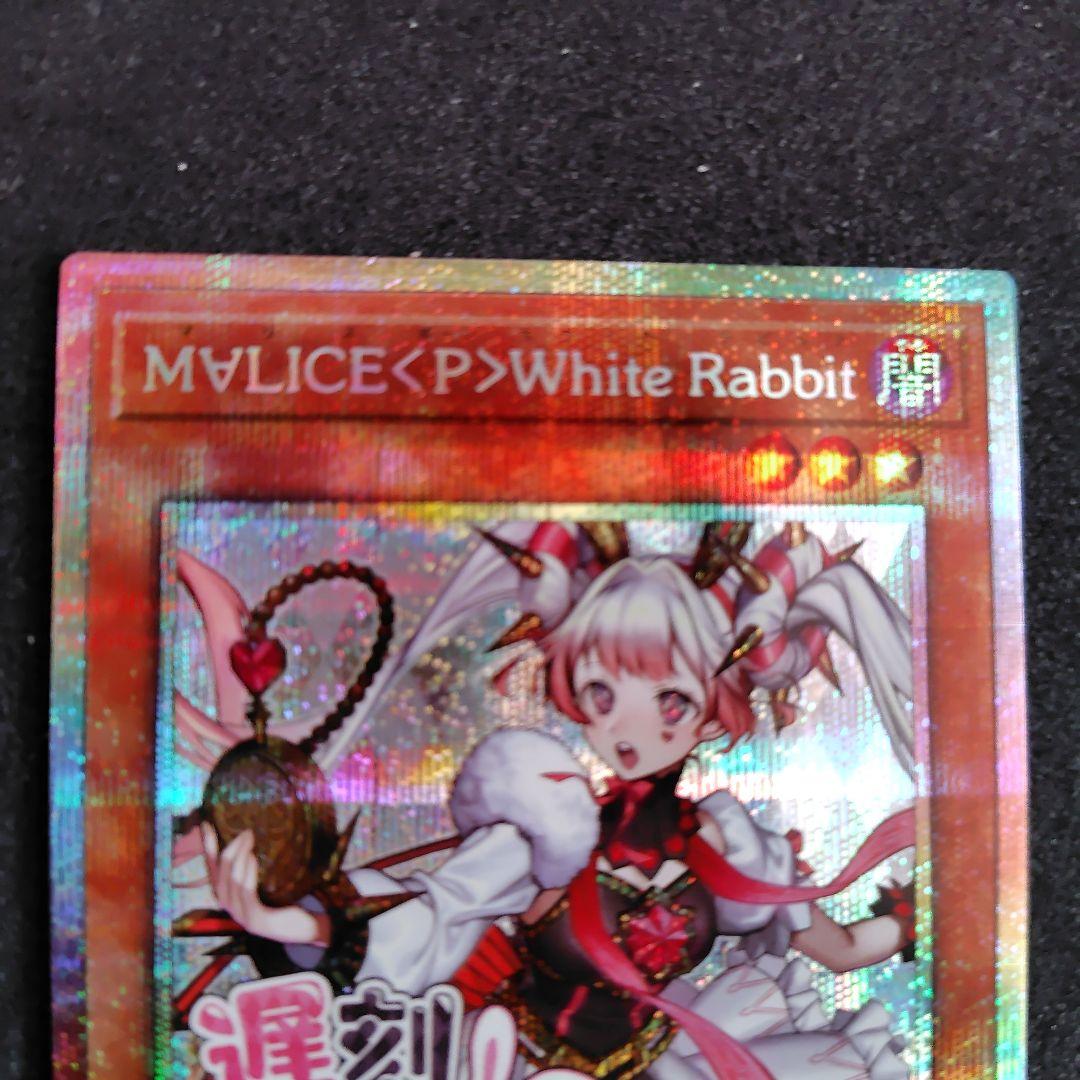遊戯王 M∀LICE<P>WhiteRabbit ホワイトラビットプリシク　3枚 Amazon.co.jp: 遊戯王カード DBCB-JP015 M∀LICE＜P＞White Rabbit