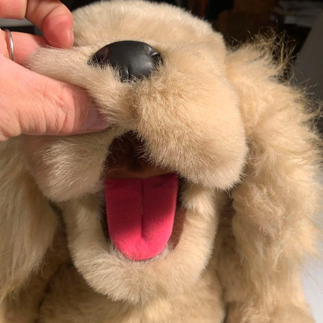 playtalkin プレイトーキン　24K 5658 RUSSEL