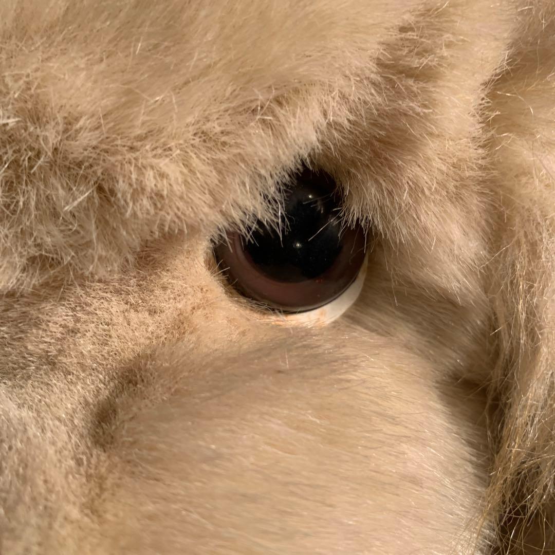 playtalkin プレイトーキン　24K 5658 RUSSEL