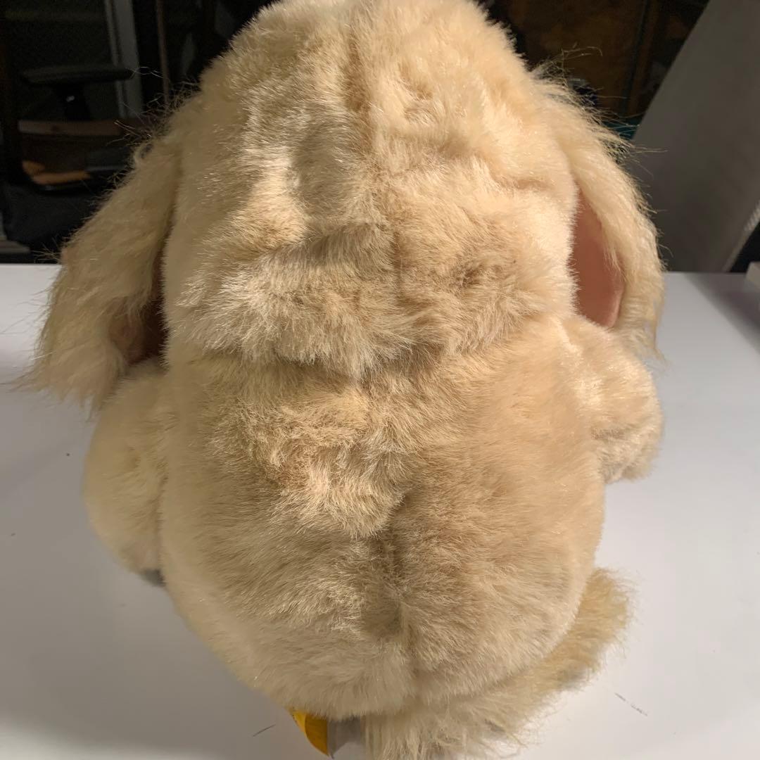 playtalkin プレイトーキン　24K 5658 RUSSEL