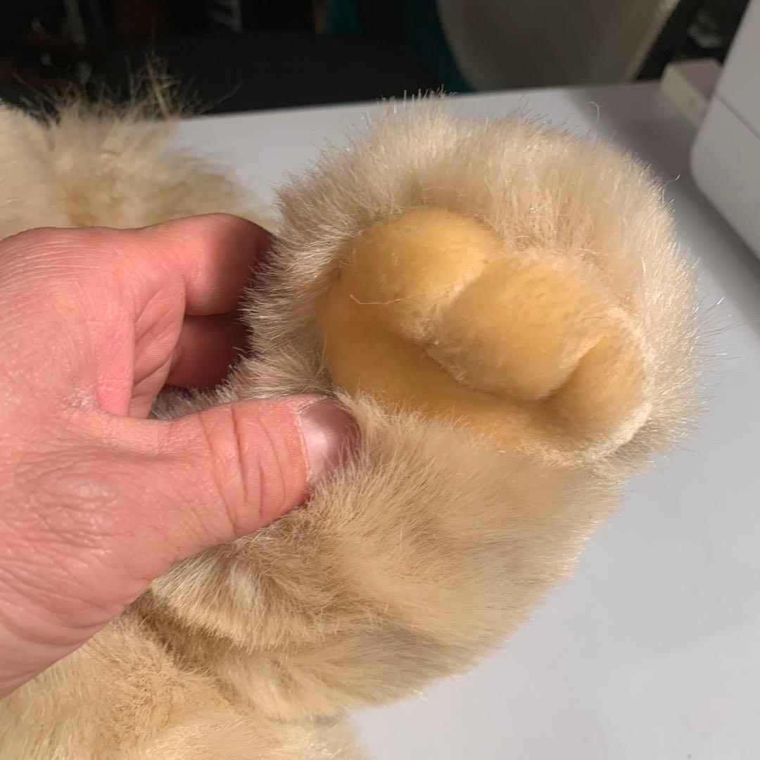 playtalkin プレイトーキン　24K 5658 RUSSEL