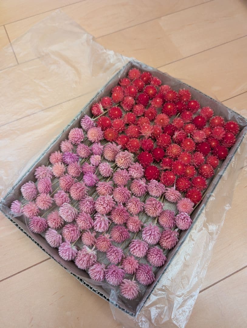 千日紅 ピンク ストロベリーフィールド ヘッド 茎付き リース - メルカリ