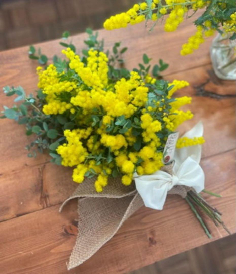 ミモザ 100サイズ 保水有り フレッシュミモザ 即日発送 - メルカリ