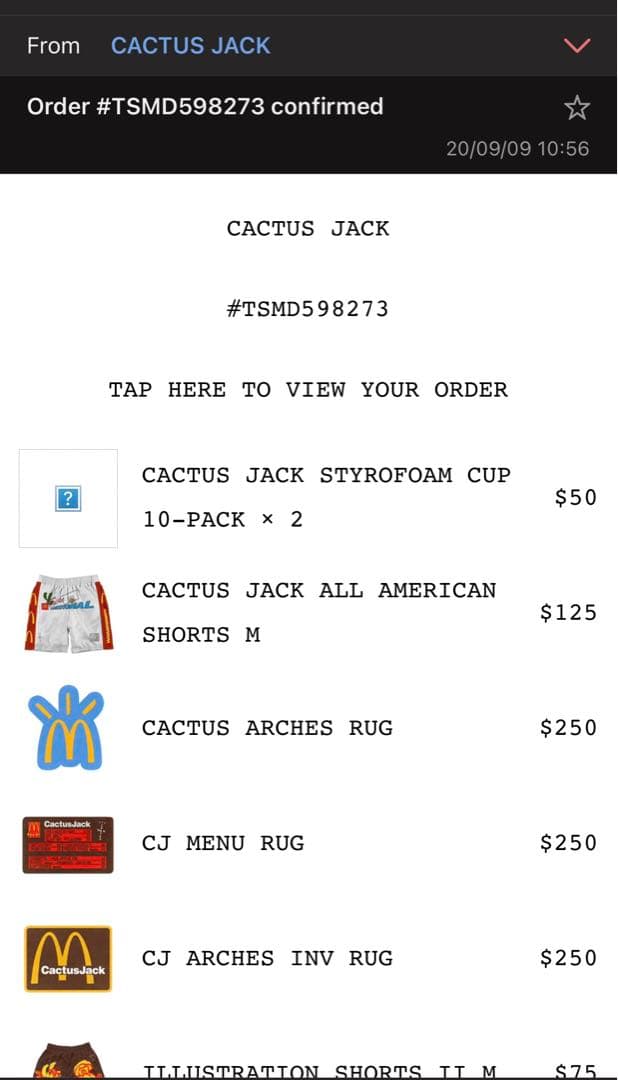 トラヴィス　 CACTUS MENU RUG Travis Scott 新品