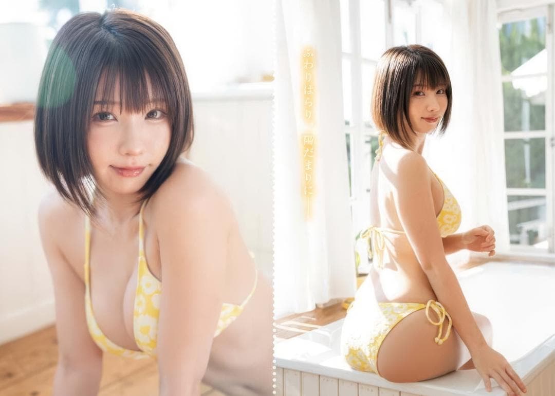 えなこA4サイズピンナップ12枚組