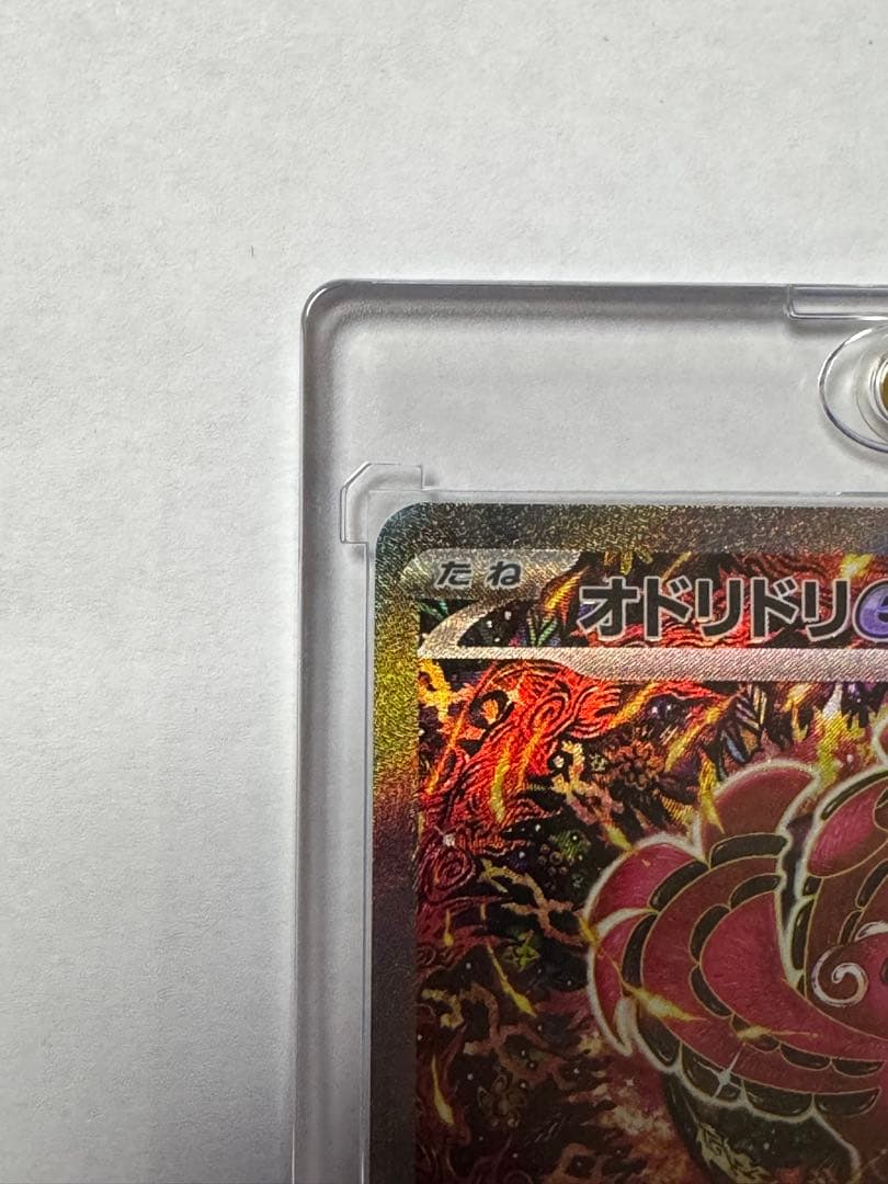 オドリドリex SAR マグネットローダー付き - ポケモンカードゲーム