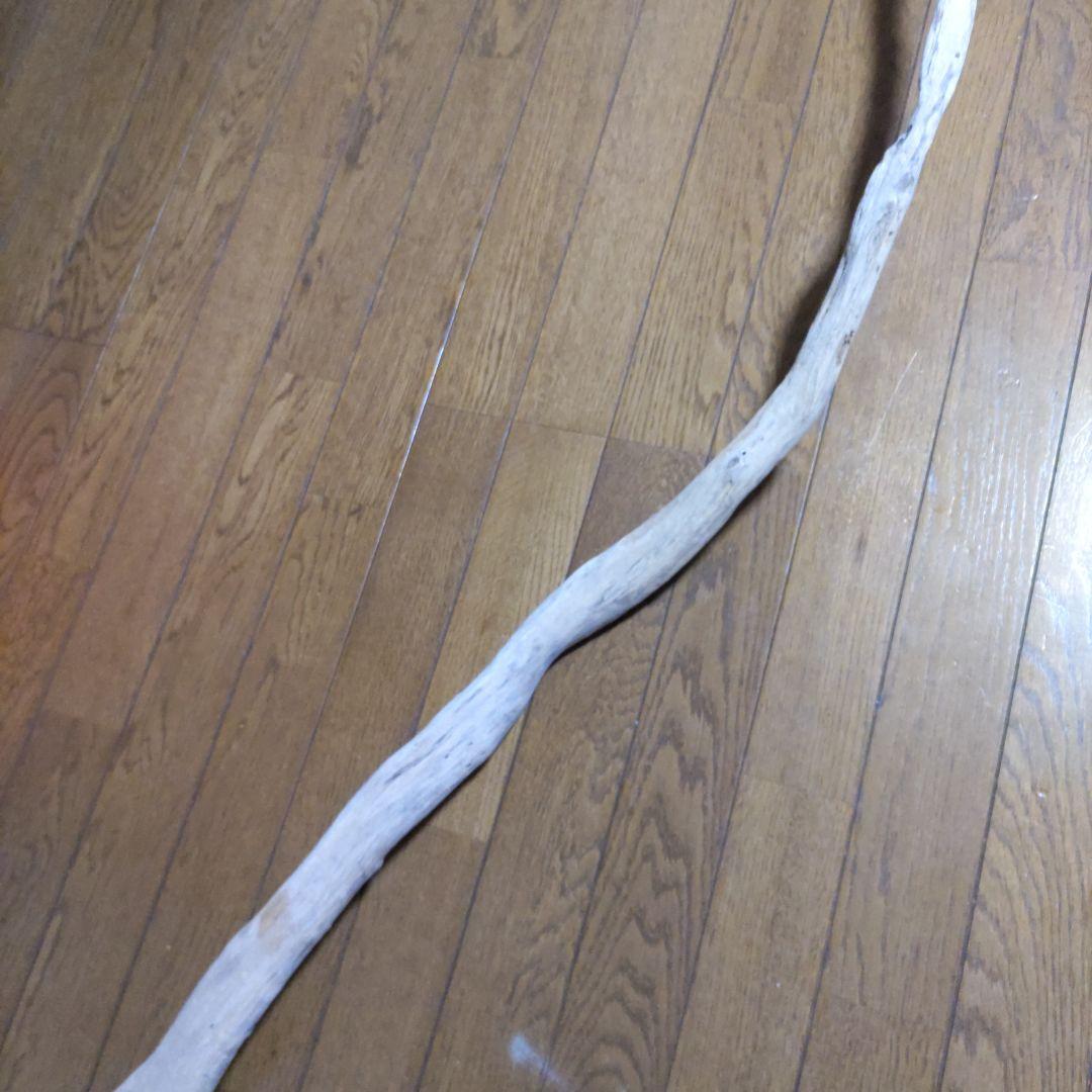 天然自然流木　ビッグな超希少　龍木竜木辰年　直接引き渡し限定　大阪府