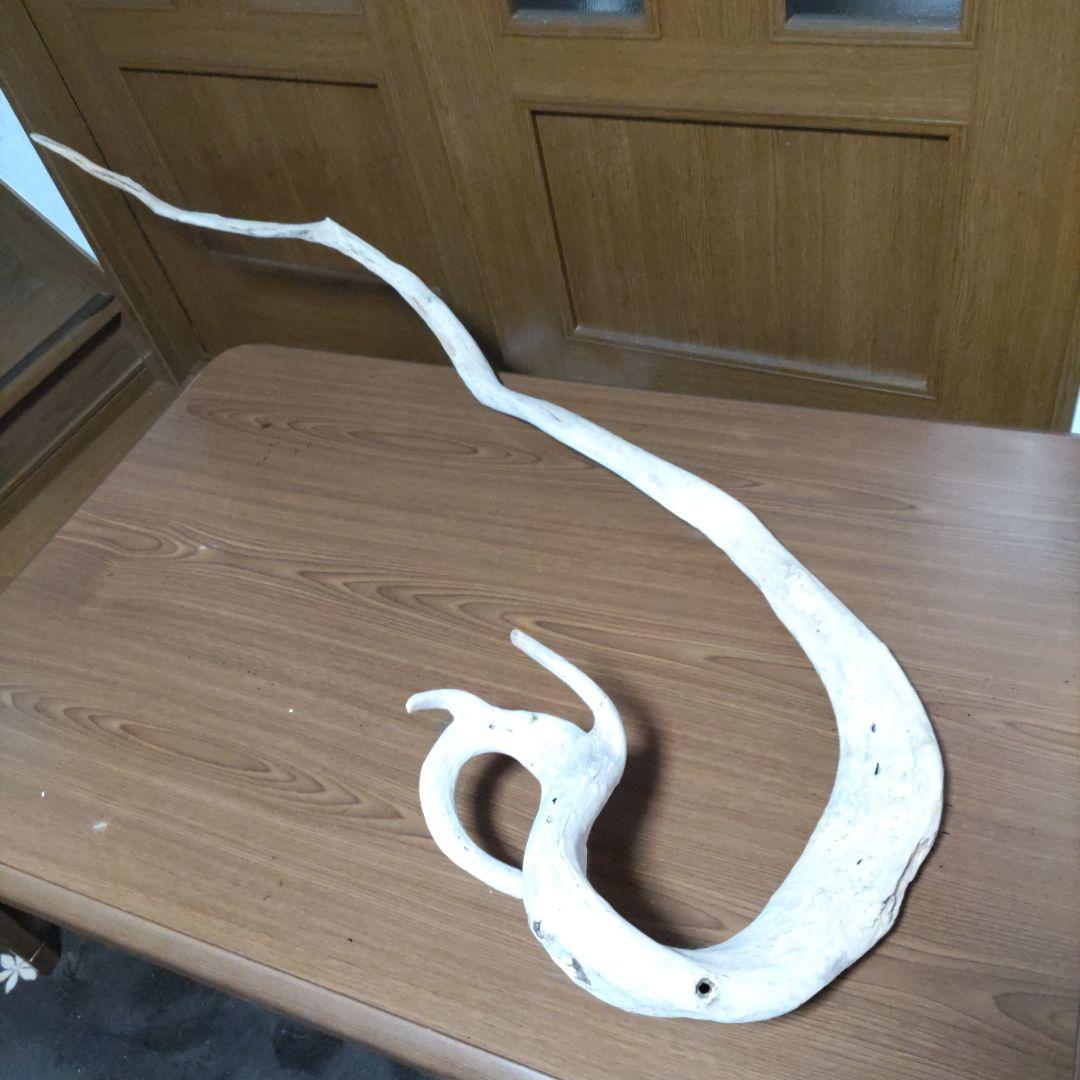 天然自然流木　ビッグな超希少　龍木竜木辰年　直接引き渡し限定　大阪府