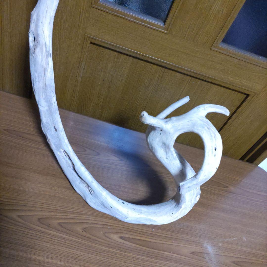 天然自然流木　ビッグな超希少　龍木竜木辰年　直接引き渡し限定　大阪府