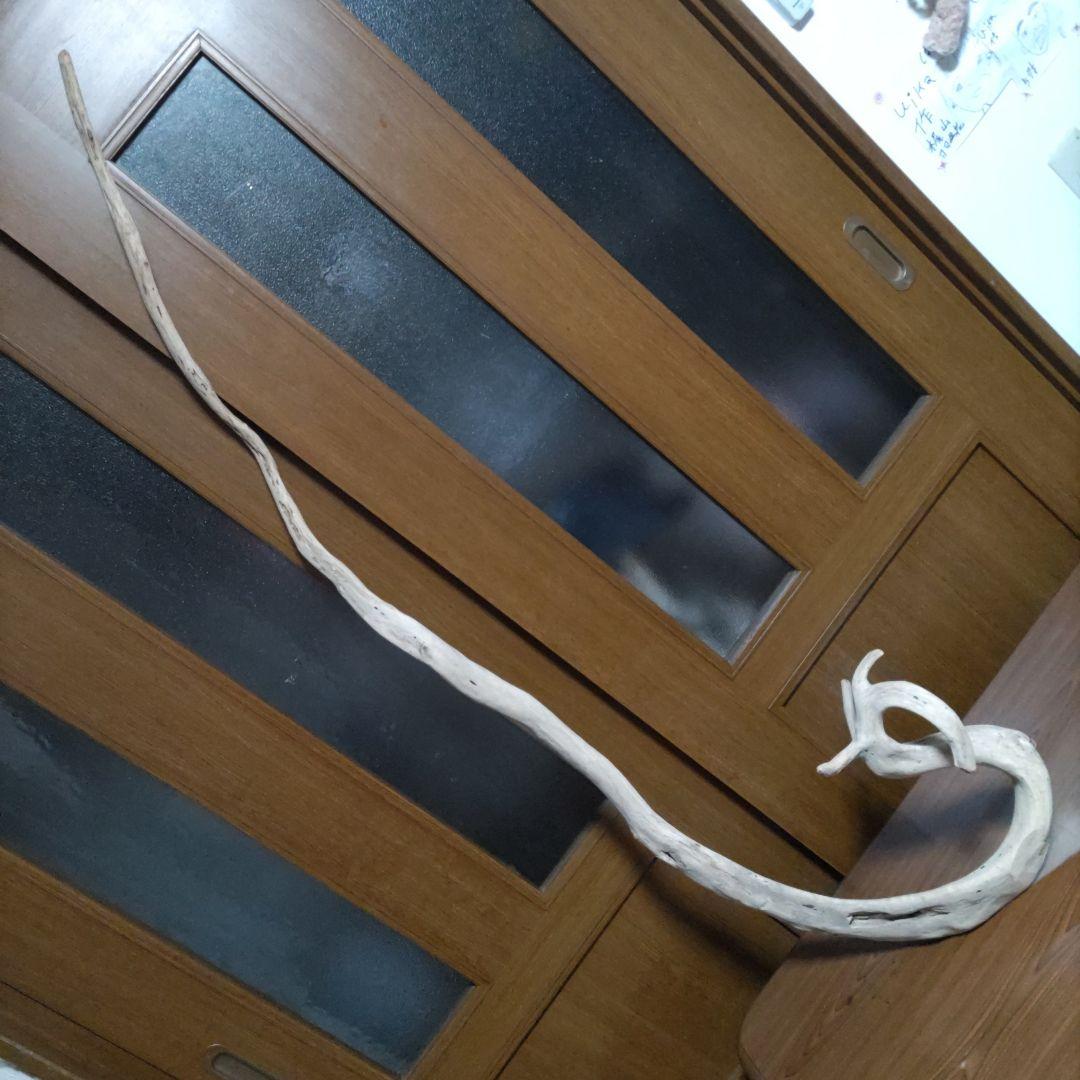 天然自然流木　ビッグな超希少　龍木竜木辰年　直接引き渡し限定　大阪府