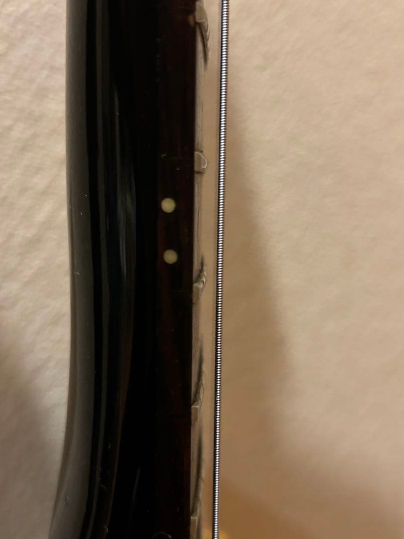 ル*ス様 値下げ！超レア☆mavisファイヤーバード