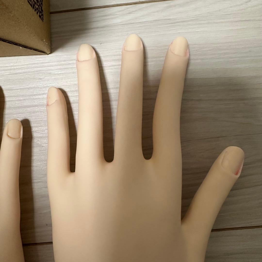 JNEC 認定モデルハンド ネイル検定 セット