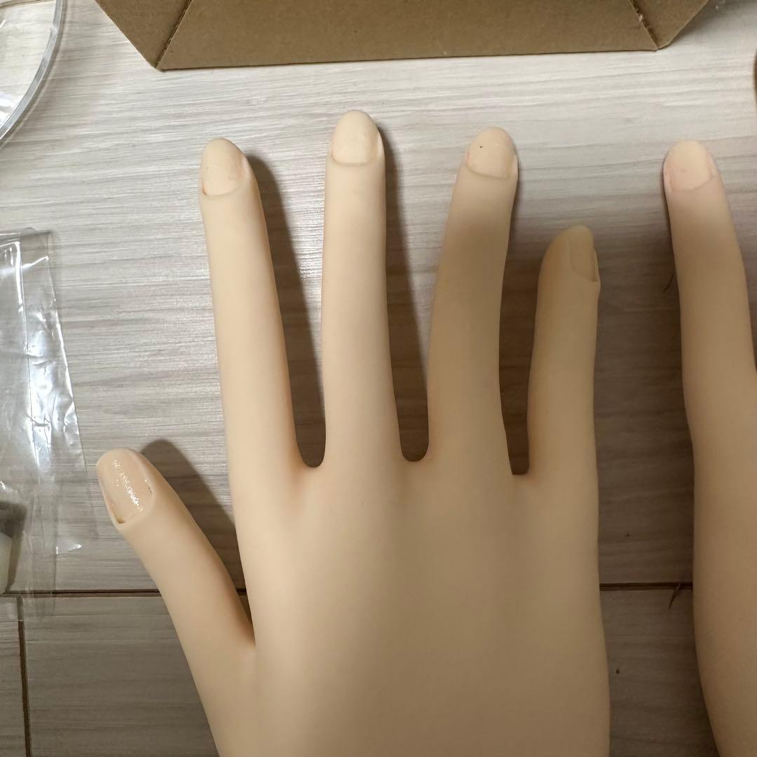 JNEC 認定モデルハンド ネイル検定 セット