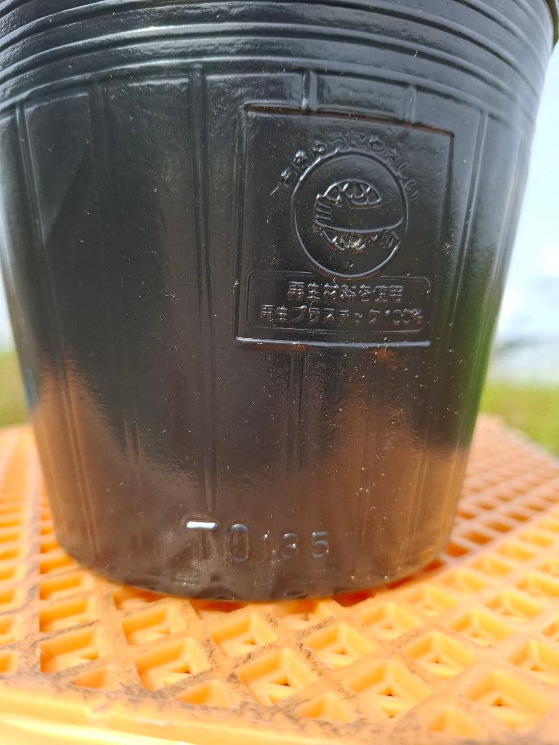 黒色プラスチックポット 1000個セット 13.5cm