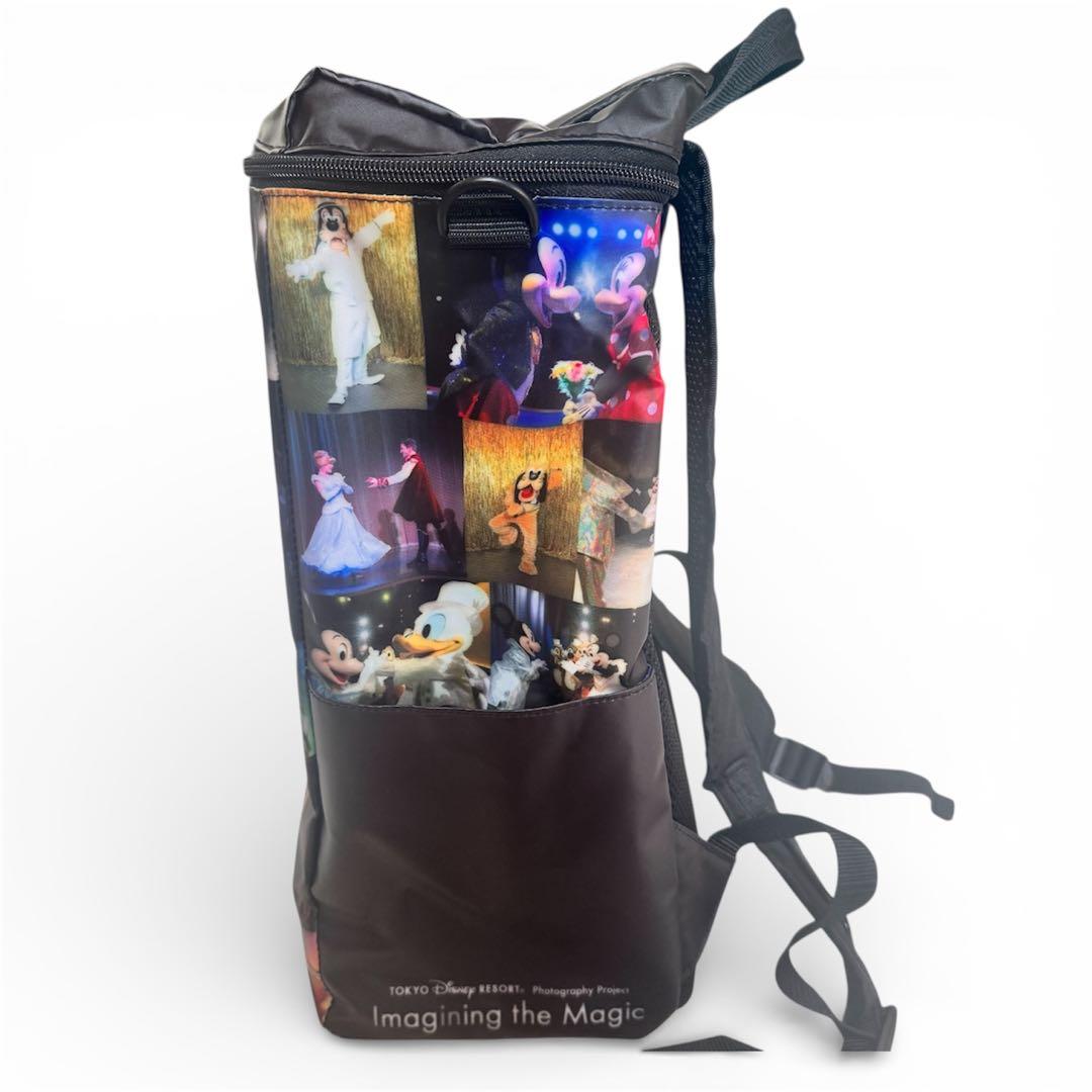 新品同様】Disney land ワンマンズドリームⅡ カメラバッグ リュック