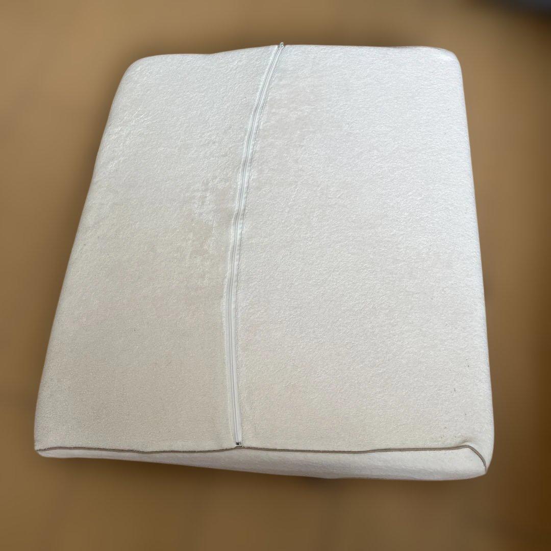 脳呼吸枕(ミヤノヒーリングラボ)