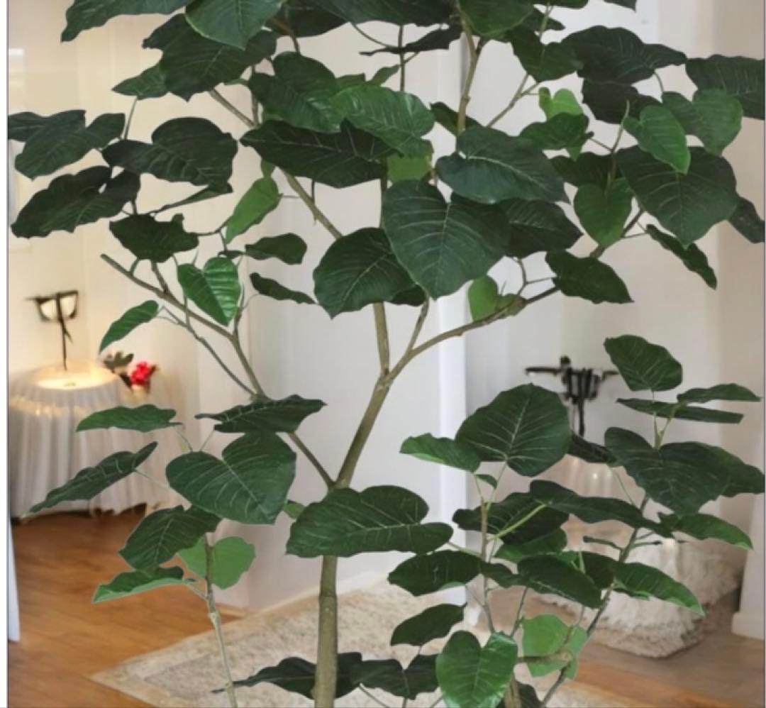 光触媒　人工観葉植物　ウォールグリーン　フェイクグリーン　HQウンベラータ180