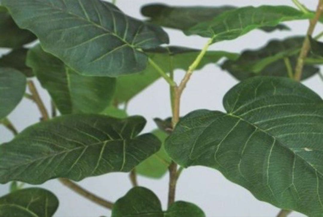 光触媒　人工観葉植物　ウォールグリーン　フェイクグリーン　HQウンベラータ180