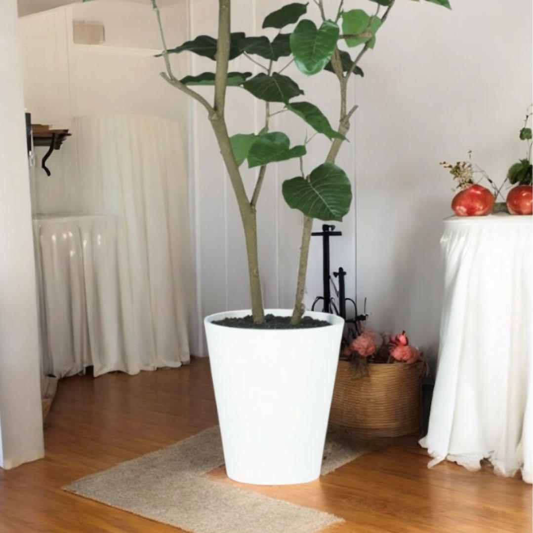 光触媒　人工観葉植物　ウォールグリーン　フェイクグリーン　HQウンベラータ180