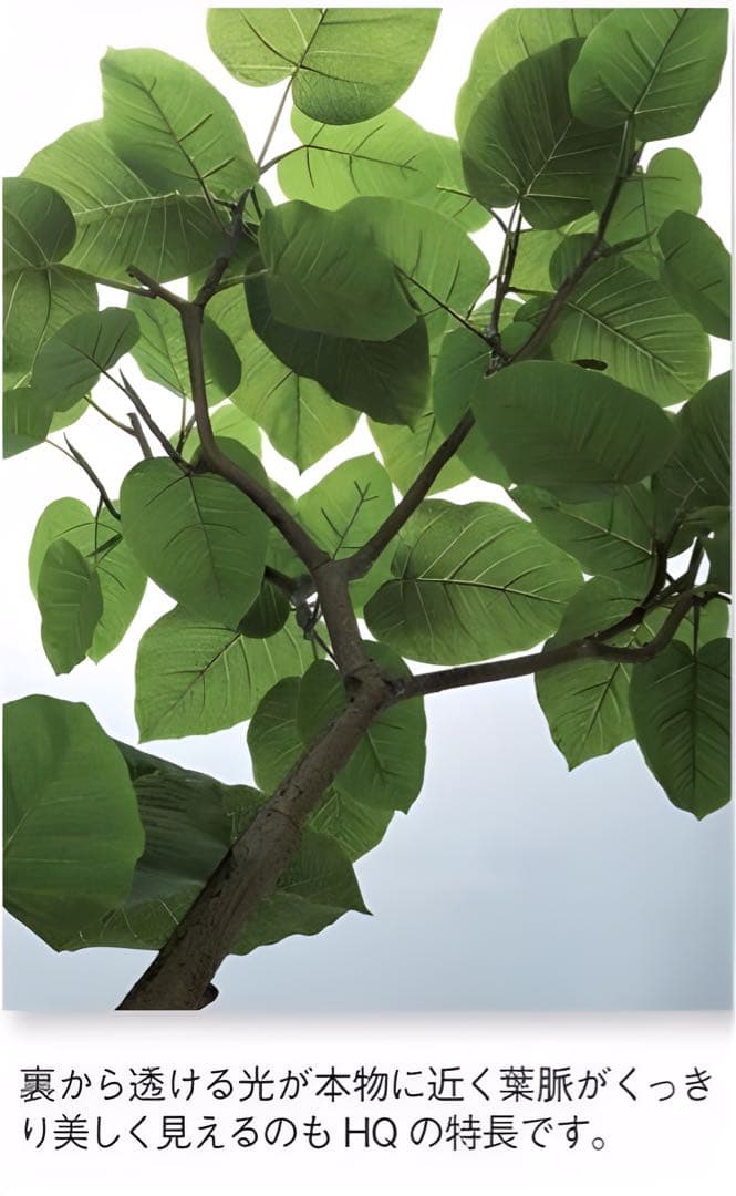 光触媒　人工観葉植物　ウォールグリーン　フェイクグリーン　HQウンベラータ180