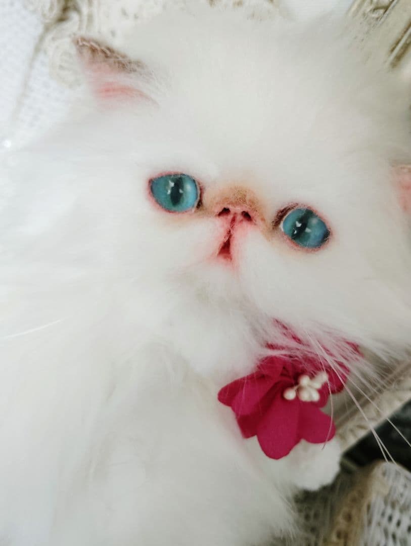 家族募集❤ふわふわ♡子猫のフゥちゃん♡アートドール♡ぬいぐるみ♡