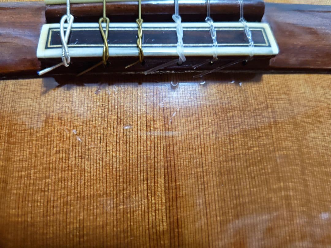 Jose Ramirez 4N-CWE / L.R.Baggs Anthem搭載