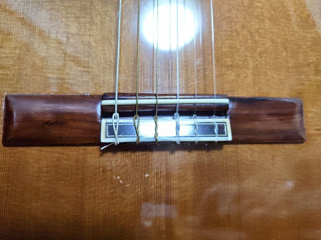 Jose Ramirez 4N-CWE / L.R.Baggs Anthem搭載