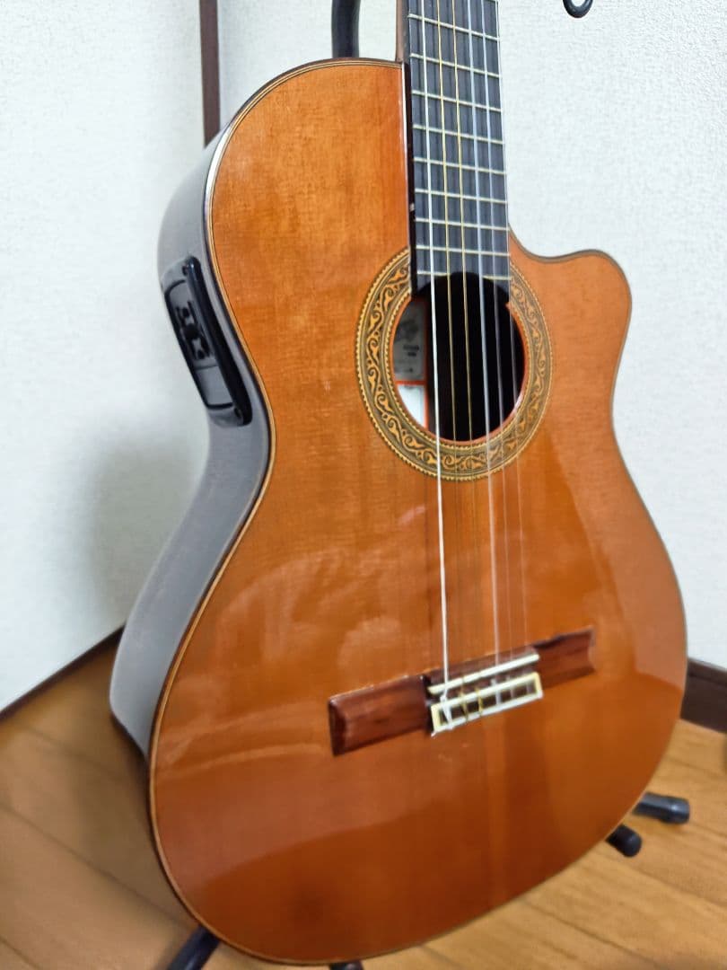 Jose Ramirez 4N-CWE / L.R.Baggs Anthem搭載