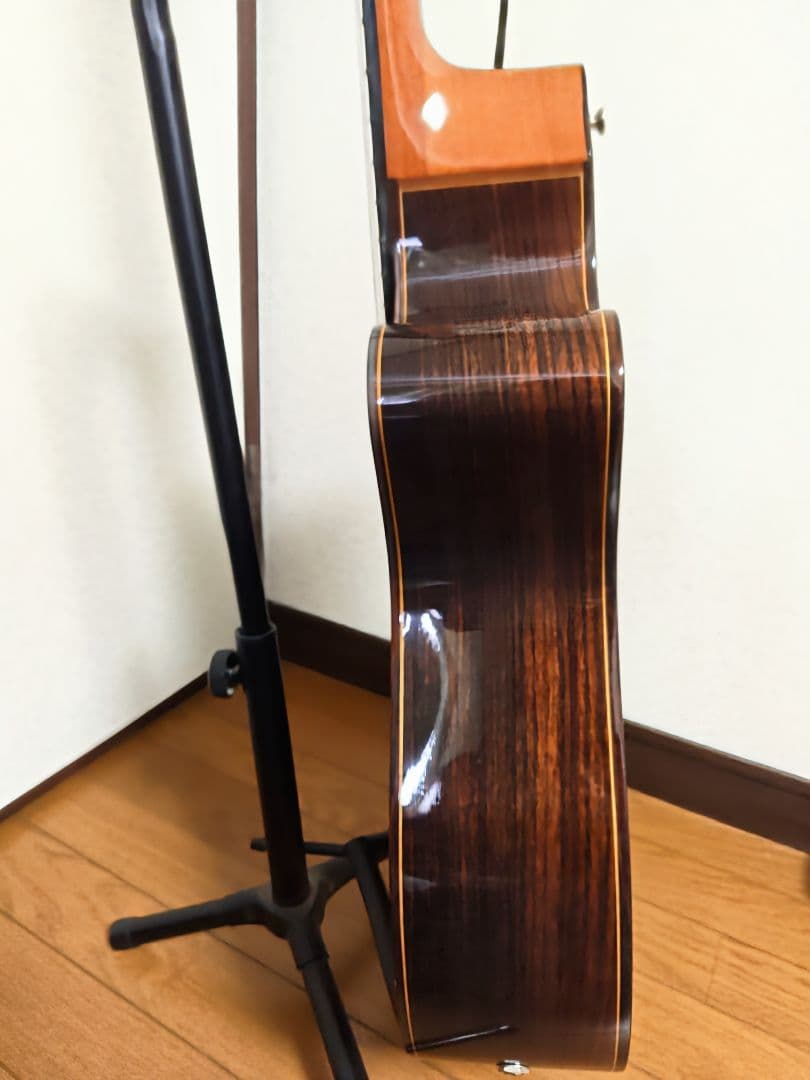 Jose Ramirez 4N-CWE / L.R.Baggs Anthem搭載