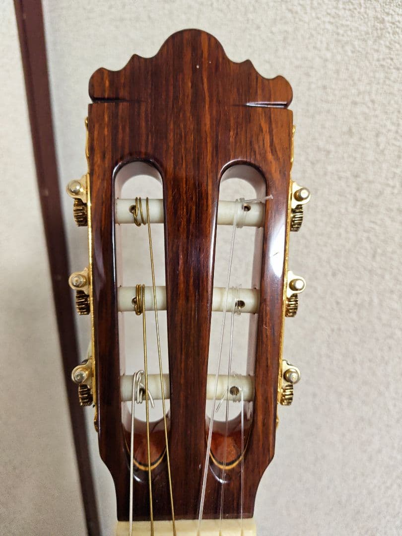 Jose Ramirez 4N-CWE / L.R.Baggs Anthem搭載