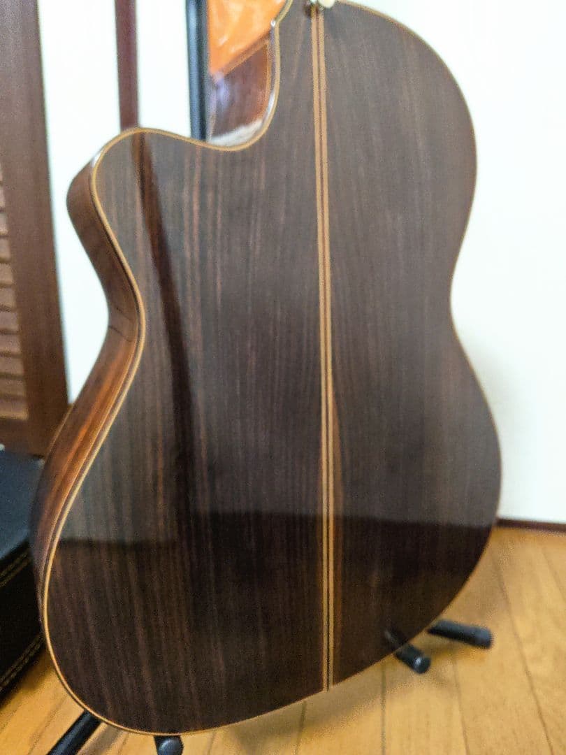 Jose Ramirez 4N-CWE / L.R.Baggs Anthem搭載