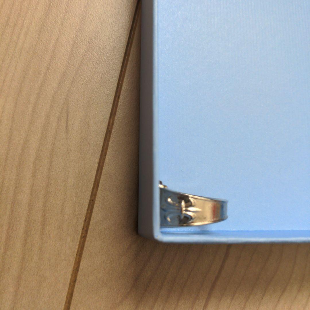 るー　カテキョーヒットマンリボーン　黒おしゃぶり＆リング