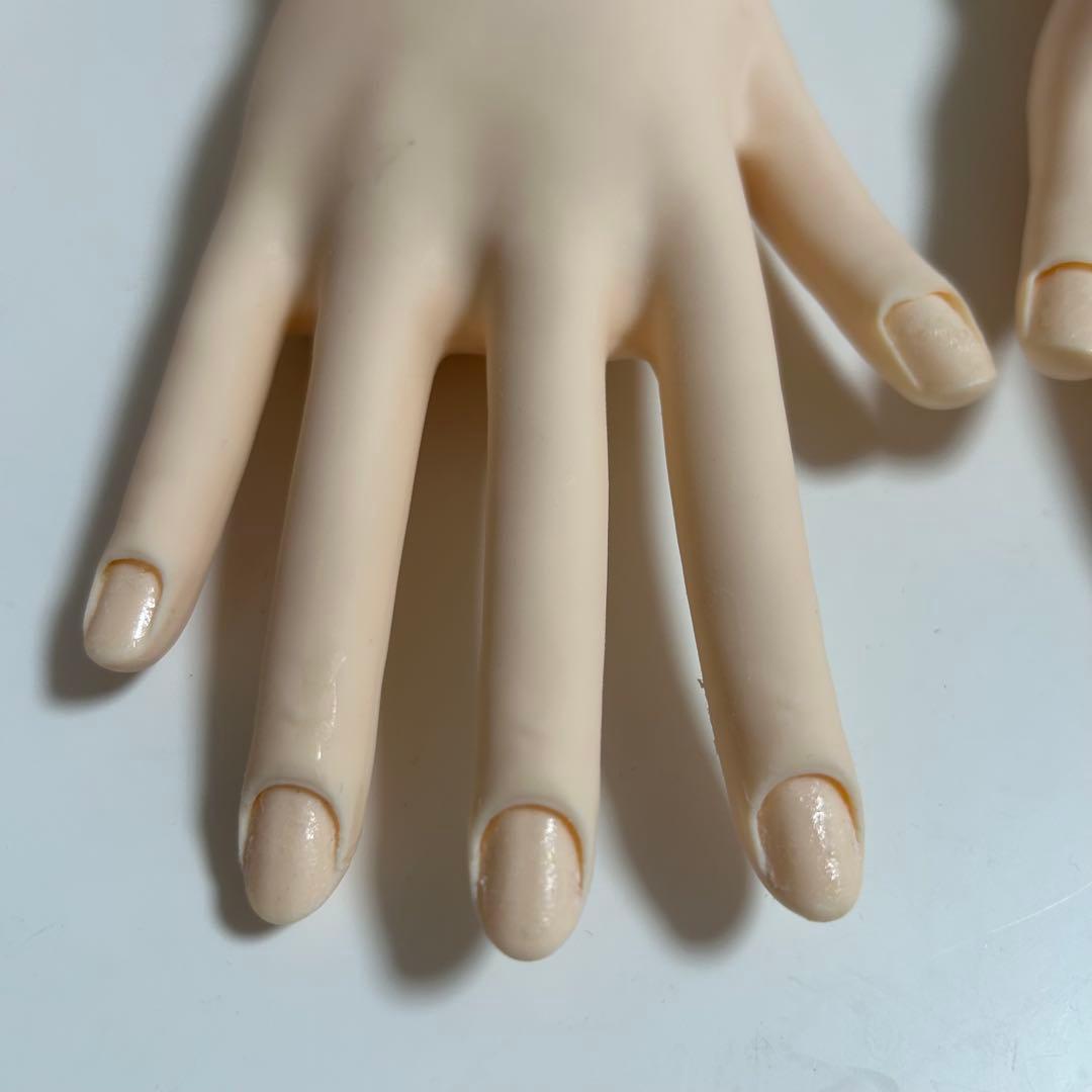 ネイリスト技能検定試験モデルハンド JNEC認定モデルハンド(両手)骨折なし