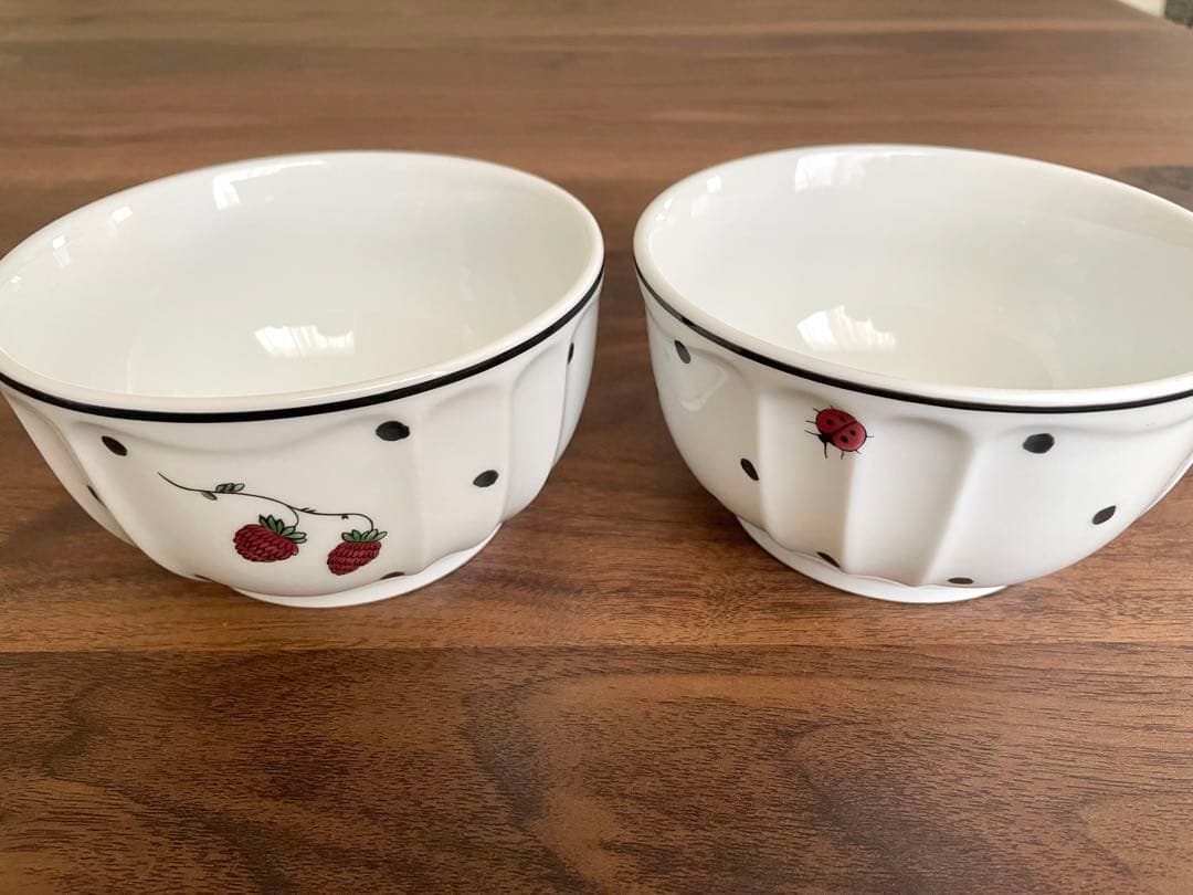 リチャードジノリ イタリアンポア 野いちご セット リチャードジノリ