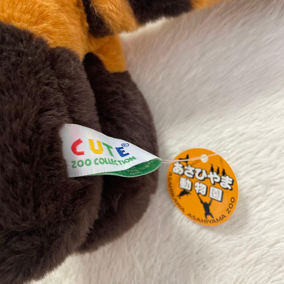 CUTE 北海道 あさひやま動物園 レッサーパンダ ぬいぐるみ 新品 - メルカリ