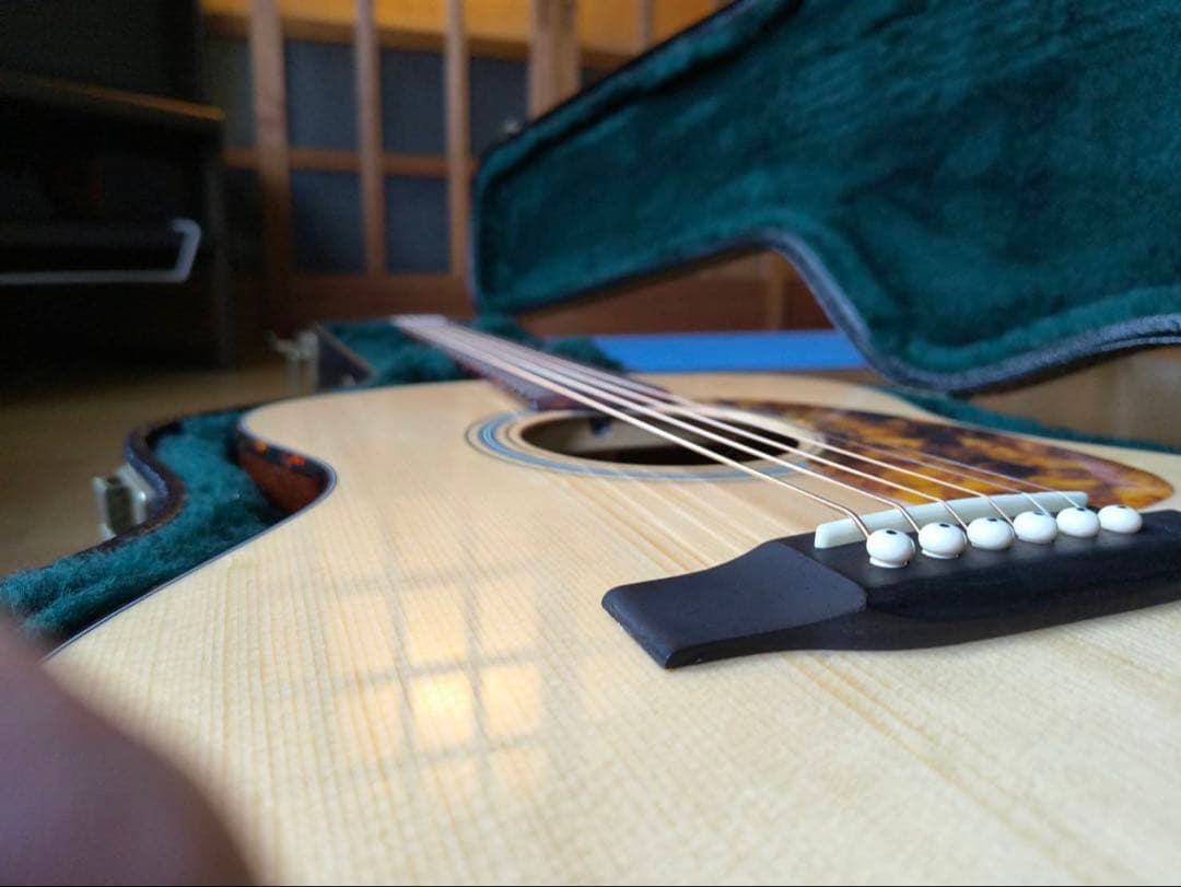 RECORDING KING RO-318 オール単板マーチン純正ハードケース付 - メルカリ