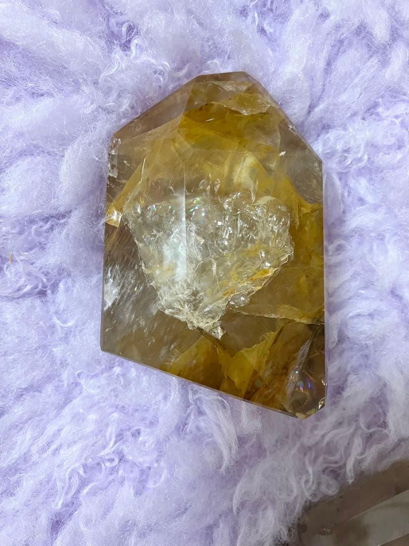 ゴールデンヒーラー②