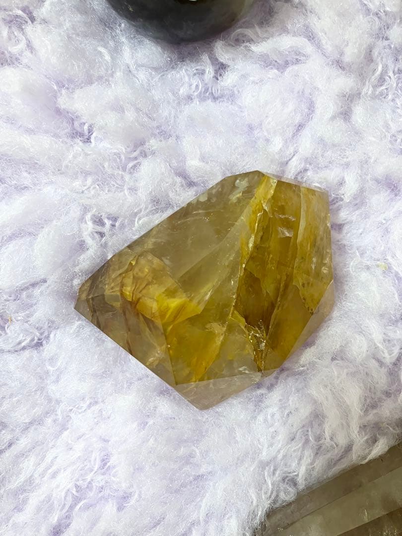 ゴールデンヒーラー②