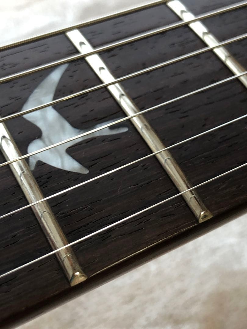 パパピピ様 専用【希少】PRS SE 245 Soapbar P-90 タイプ - メルカリ