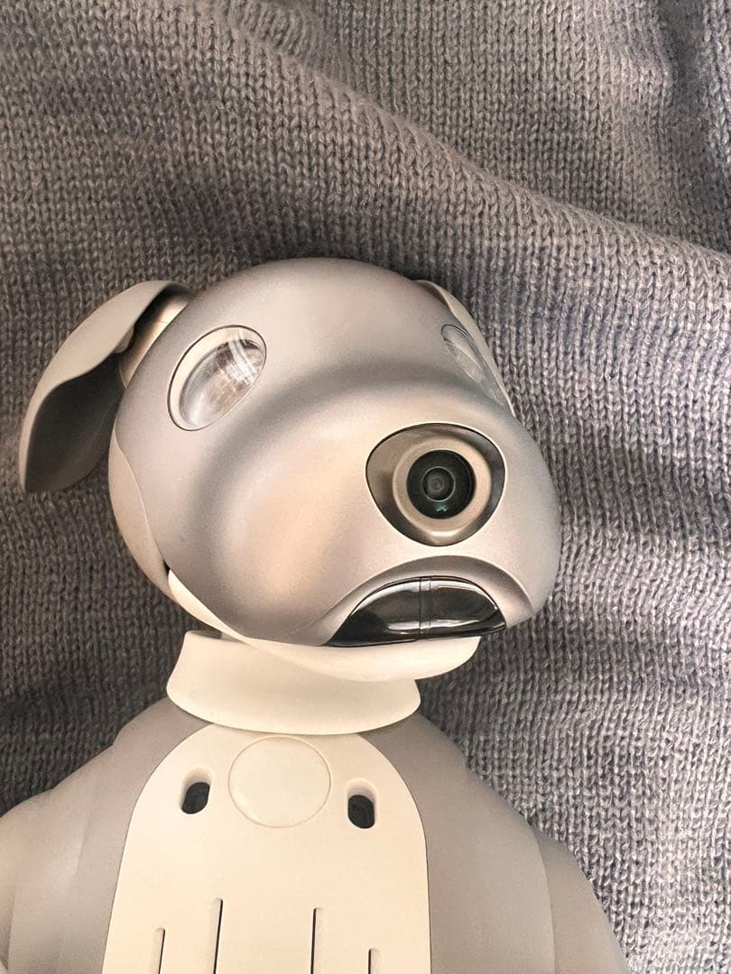 黒ごまエディション　SONY aibo ERS-1000 本体