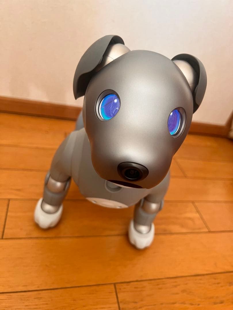 黒ごまエディション　SONY aibo ERS-1000 本体