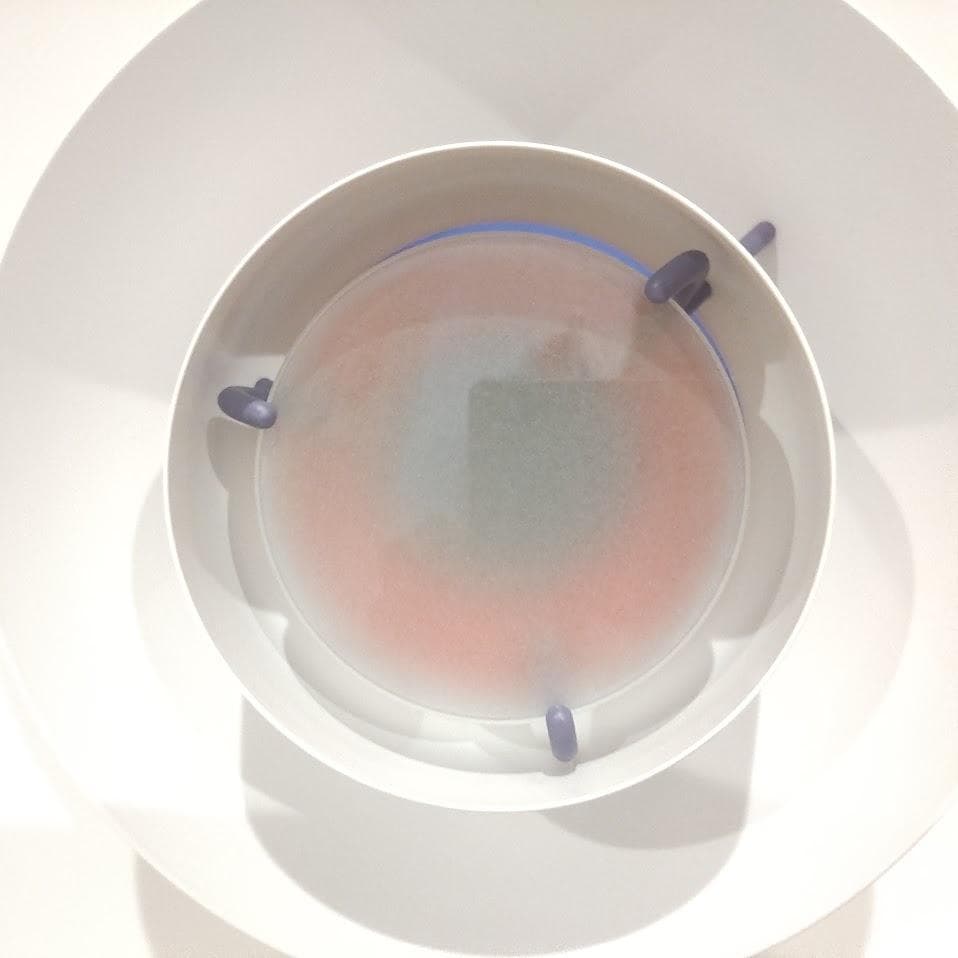 ★正規品★ louis poulsen（ルイスポールセン） PH5 ブルー