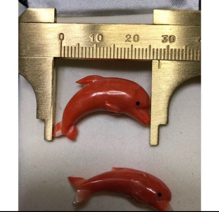 お値下げ❤️貴重)本珊瑚のドルフィン2個(裏表無し