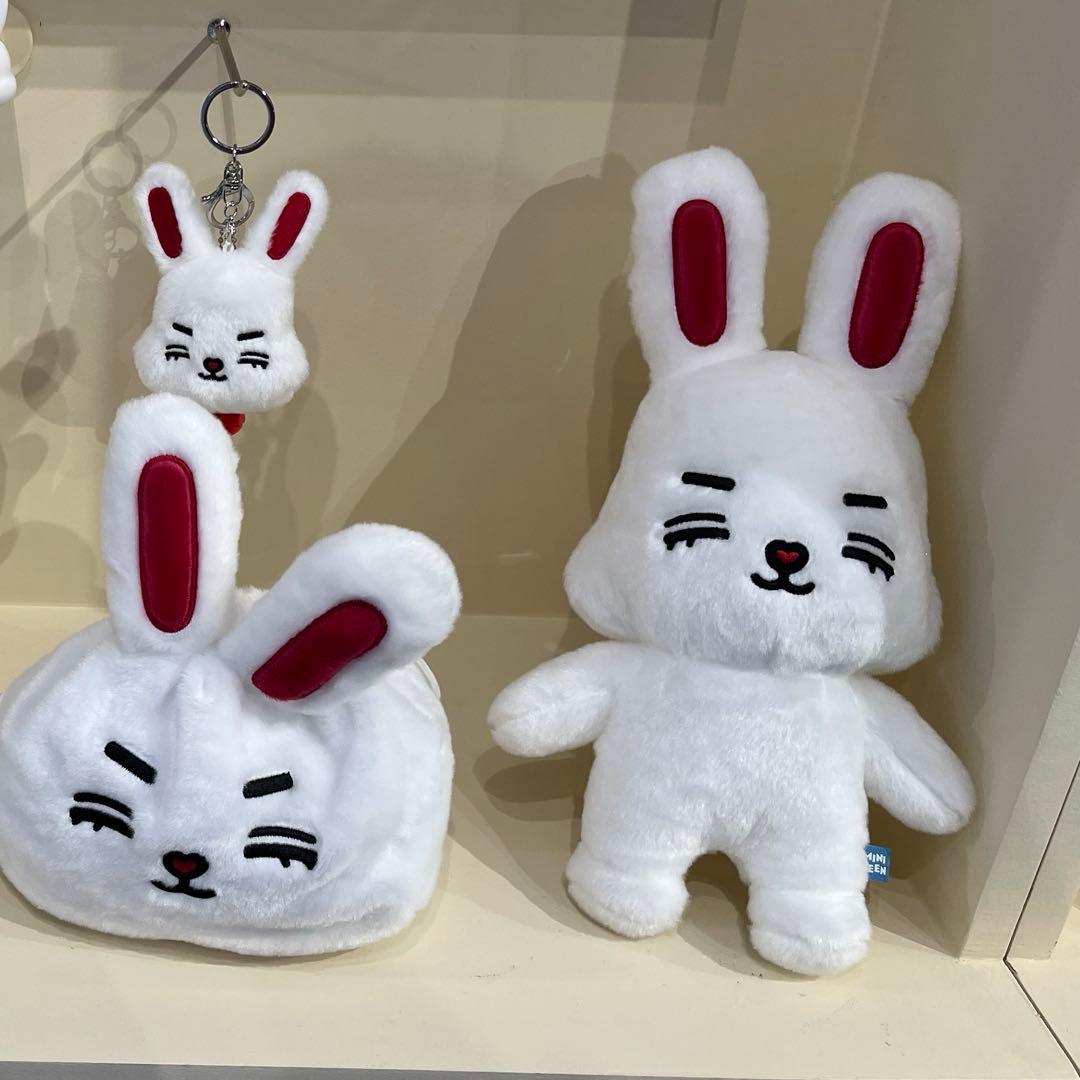 エスクプス SEVENTEEN ミニティーン ぬいぐるみ 20cmポップアップ